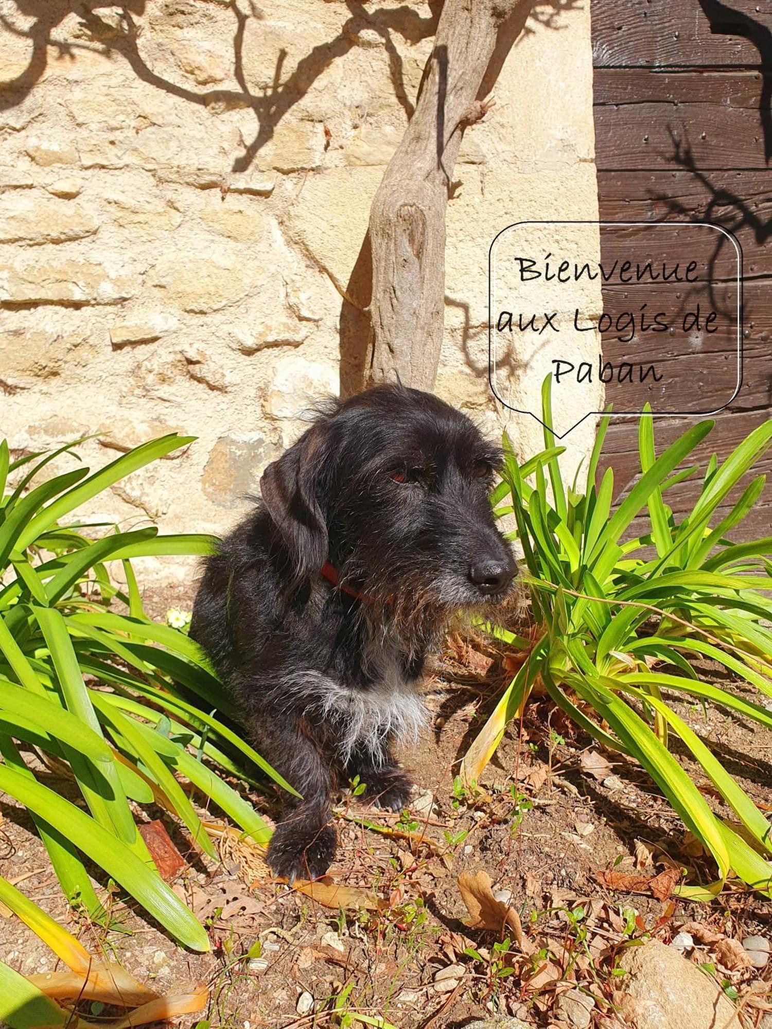 Bed and Breakfast Les Logis De Paban Crestet Exterior foto